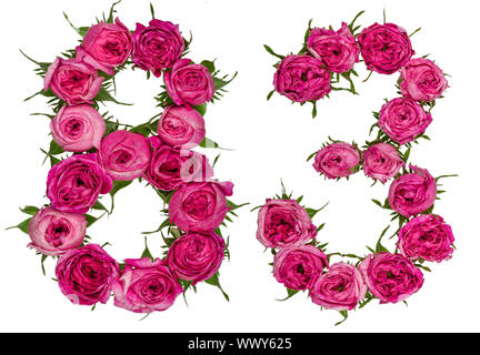 Arabic numeral 83, eighty three, from red flowers of rose, isolated on white background Stock Photo