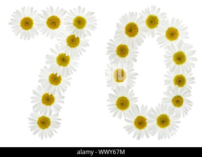 Arabic numeral 70, seventy, from white flowers of chamomile, isolated on white background Stock Photo