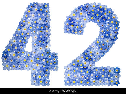 Arabic numeral 42, forty two, from blue forget-me-not flowers Stock Photo