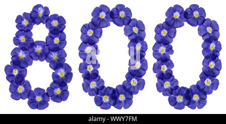 Arabic numeral 800, eight hundred, from blue flowers of flax, isolated on white background Stock Photo