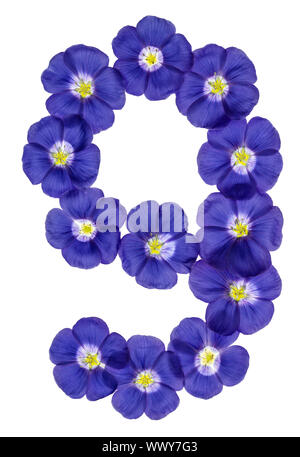 Arabic numeral 9, nine, from blue flowers of flax, isolated on white background Stock Photo
