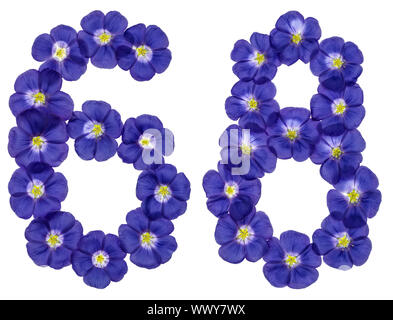 Arabic numeral 68, sixty eight, from blue flowers of flax, isolated on white background Stock Photo