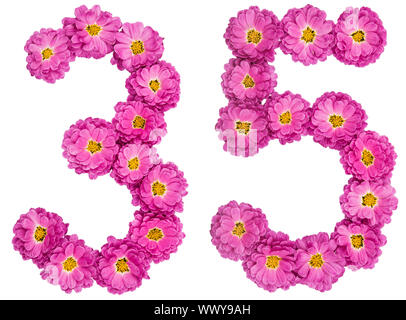 Arabic numeral 35, thirty five, from flowers of chrysanthemum, isolated on white background Stock Photo