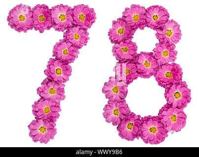 Arabic numeral 78, seventy eight, from flowers of chrysanthemum, isolated on white background Stock Photo