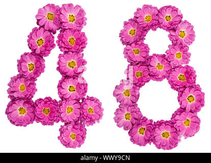 Arabic numeral 48, forty eight, from flowers of chrysanthemum, isolated on white background Stock Photo