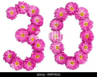 Arabic numeral 30, thirty, from flowers of chrysanthemum, isolated on white background Stock Photo