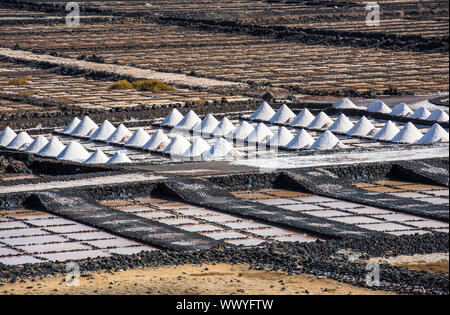 Salinas de Janubio, saltworks in Lanzarote, Canary Islands, Spain Stock Photo