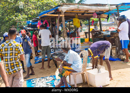 Fish market in the Sea Street, directly at the harbor and the bay of Galle Stock Photo