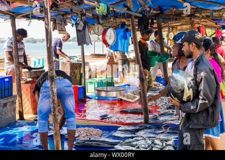 Fish market in the Sea Street, directly at the harbor and the bay of Galle Stock Photo