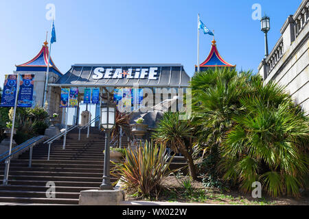 Sea life Brighton centre aquarium, east sussex, uk Stock Photo