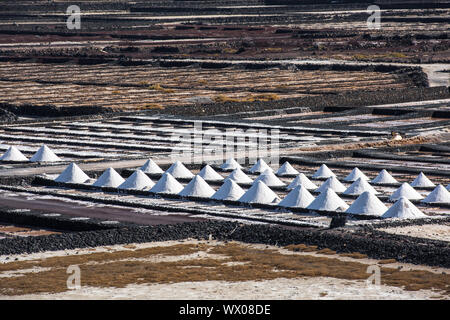 Salinas de Janubio, saltworks in Lanzarote, Canary Islands, Spain Stock Photo