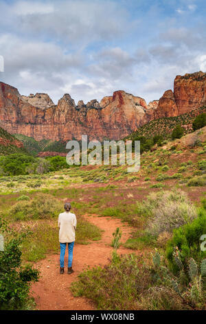 Temples and Towers of the Virgin, Zion National Park, Utah, United States of America, North America Stock Photo