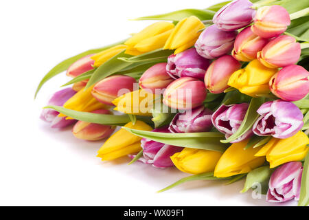 bunch of colorful tulips Stock Photo