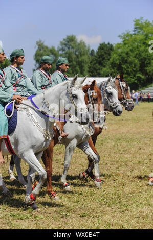 Members of the Arab show group Royal Cavalry of Oman ride in magnificent robes on horse Stock Photo
