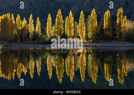 A row of poplar trees reflected in autumnal colours, San Carlos de Bariloche, Patagonia, Argentina, South America Stock Photo