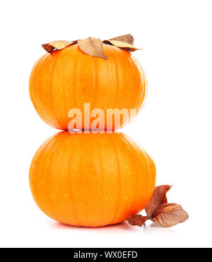 Two pumpkins Stock Photo