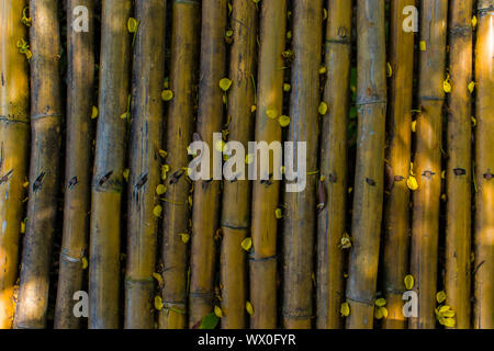 Bamboo Fence Outside Surface, rough fence bamboo pattern background High resolution image gallery. Stock Photo