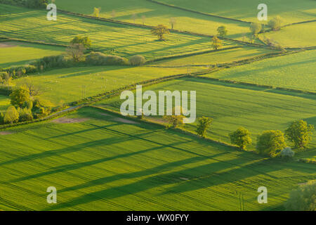 Patchwork fields in the Brecon Beacons National Park, Powys, Wales, United Kingdom, Europe Stock Photo