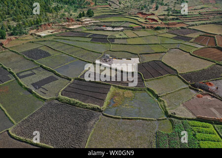 Vegetable cultivation and brick making on the rice fields, National Route RN7 between Antsirabe and Antananarivo, Madagascar, Africa Stock Photo