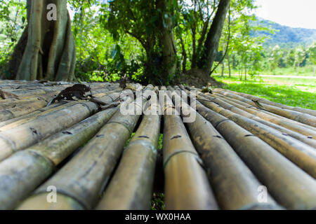 Bamboo Fence Outside Surface, rough fence bamboo pattern background High resolution image gallery. Stock Photo