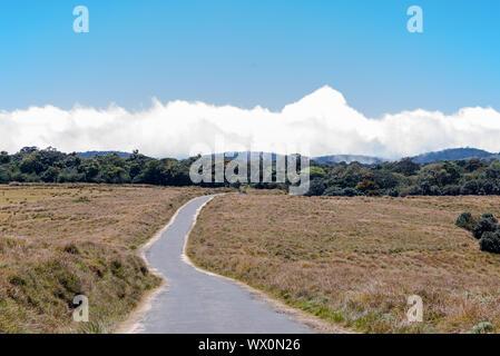 Road drive-through the Horton Plains, a National Park in the highlands of Sri Lanka Stock Photo