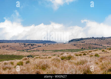 Inside of the Horton Plains, a National Park in the highlands of Sri Lanka Stock Photo