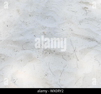Beach sand background Stock Photo