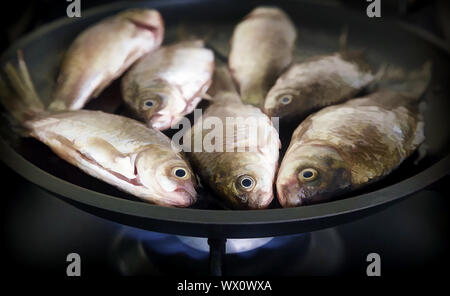 Fresh Fried Fish In A Frying Pan On The Cooker Stock Photo, Picture and  Royalty Free Image. Image 54798771.