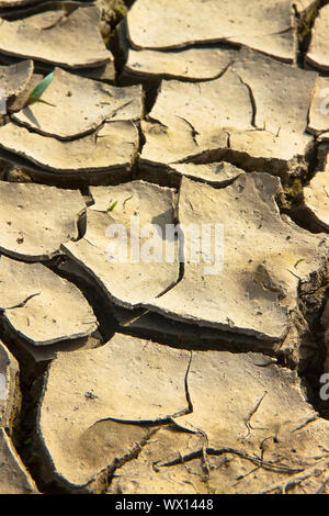 Infertile land burned by the sun: famine and poverty concept Stock Photo