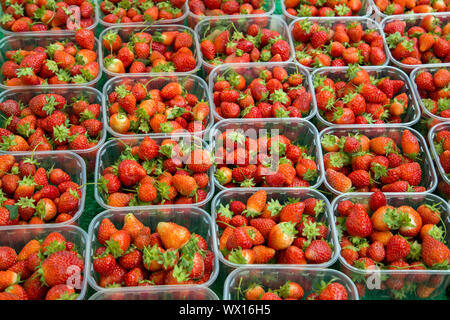 Plastic containers of strawberries on a market stall Stock Photo