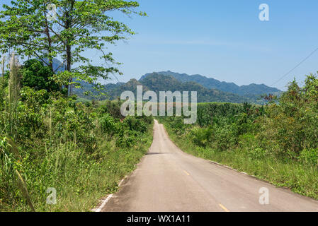 Road through the national park Khao Sok in the south of Thailand Stock Photo