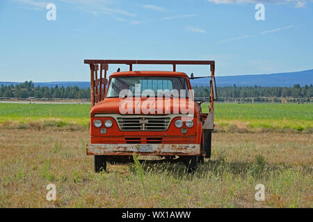 A 1965 Dodge 300 truck sitting in a farm field after being abandoned by the farmer who owns it. Stock Photo