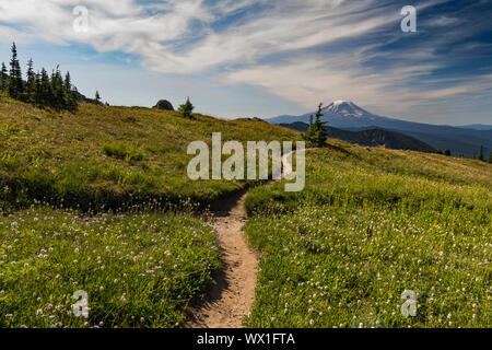 Pacific Crest Trail and Mount Adams viewed from the Goat Rocks Wilderness, Gifford Pinchot National Forest, Washington State, USA Stock Photo