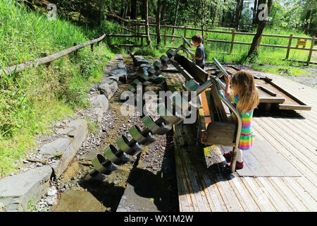 A little girl operating an Archimedes Screw at Whinlatter in the Lake District, Cumbria, UK Stock Photo