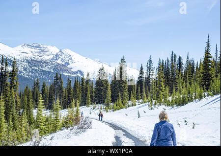 Walking on snowy trail near Peyto Lake in Jasper National Park Stock Photo