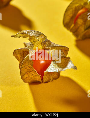 Close-up view of yellow ripe, juicy physalis fruit with shadows on a yellow background, soft focus Stock Photo