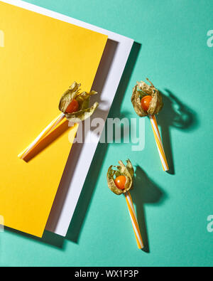 Flat lay view of the pattern of three yellow physalis fruit and plastic straws for juice with shadows on multicolor white yellow Stock Photo