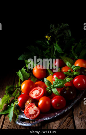 various types of tomatoes served and presented on the silver platter. Stock Photo