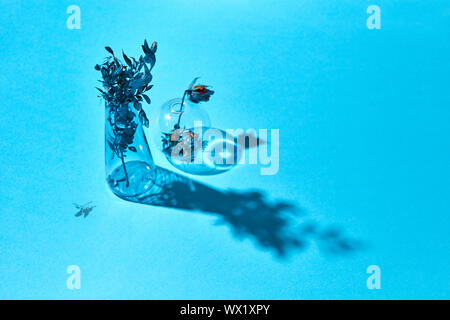 Two glass vases of painting leaf branch and flower on a blue paper background with long shadows. Stock Photo