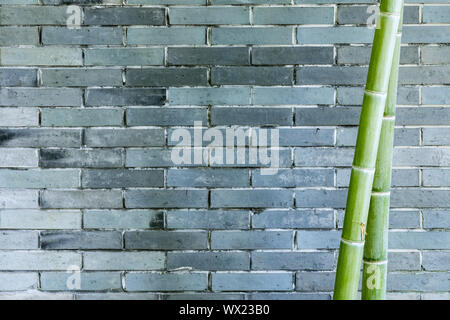 gray brick wall and bamboo Stock Photo