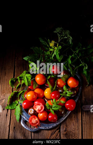 various types of tomatoes served and presented on the silver platter. Stock Photo