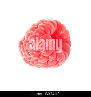 One raspberry isolated on white Stock Photo