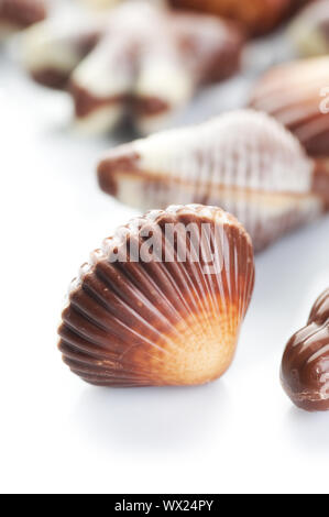 Chocolate Seashells Closeup Stock Photo