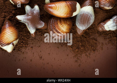 Chocolate Seashells Border Stock Photo