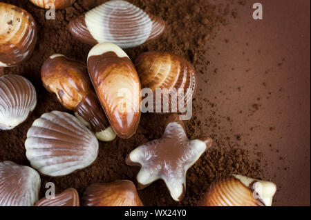 Chocolate Seashells Border Stock Photo