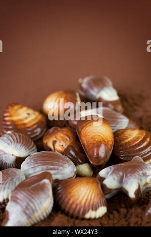 Chocolate Seashells Border Stock Photo