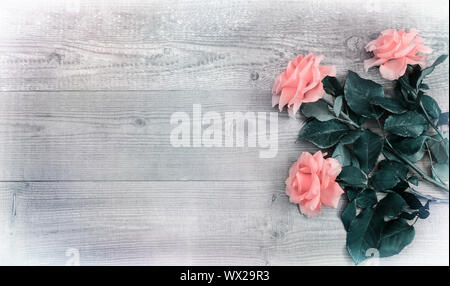 Luxury pink roses on light wood background Stock Photo