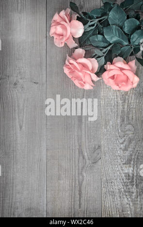 Luxury pink roses on light wood background Stock Photo