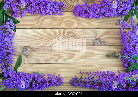 Beautiful buddleia shrub flowers on wooden background. Stock Photo