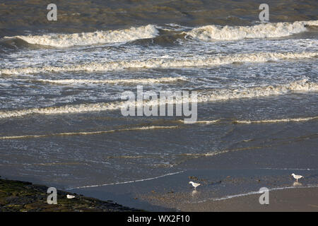 Norderney, Weststrand, Strand, Meer, stürmisch Stock Photo